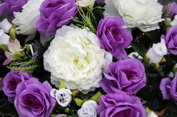 Fresh and fragrant roses