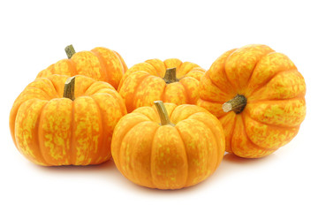 Small yellow and orange pumpkins on a white background