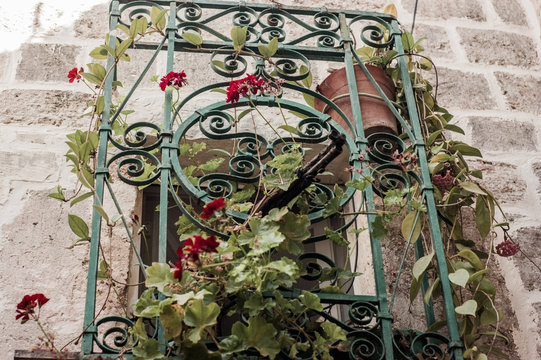 Old AK47 out window with roses arround in Israel
