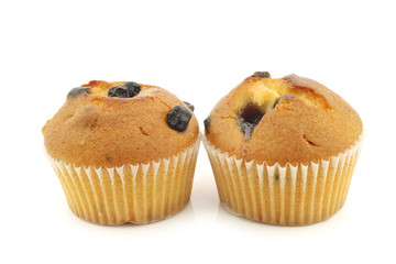 freshly baked blueberry muffins on a white background