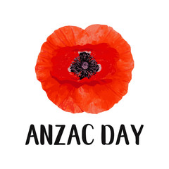 Anzac Day vector card. Bright Poppy Flower