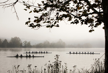 Silhouette of three boats with rowers on lake with morning fog