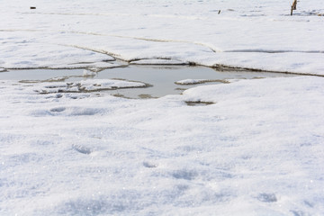 Awakening of nature in early spring