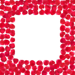 Background with realistic red rose petals isolated on white background.