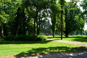 An empty path in the park, Budapest, Hungary