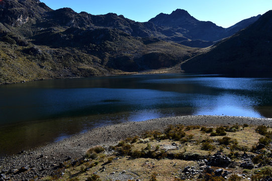 Paramo andino