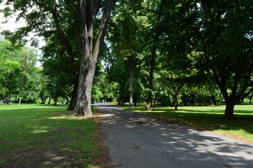 An empty alley in the park, Budapest, Hungary