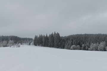 S&uuml;dschwarzwald / Sch&ouml;nwald im Winter / Januar