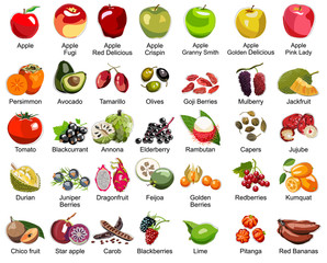 Collection of 35 Fruits icons - This set includes 35 icons of colorful fruits – Part 2