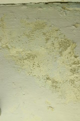 old peeling plaster