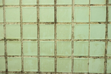 green tile in the bathroom