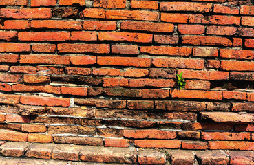 Temple brick wall