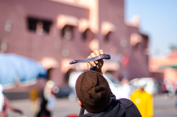 snake charmer in jemaa el fna market in marrakesh