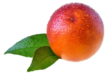 Blood orange with leaf isolated