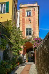 Fototapeta na wymiar View of a narrow alley of the medieval village of Cervo Ligure with the typical coloured houses and potted plants, Liguria, Italy