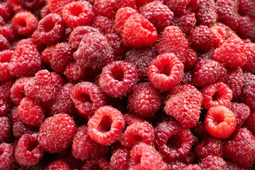 Fresh and sweet raspberries in a bowl