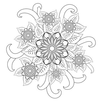 Doodle art flowers. Zentangle floral pattern. Hand-drawn herbal design elements.