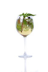Sparkly fresh holiday cocktail drink with basil and ice