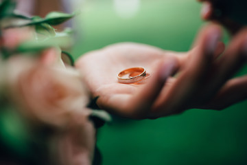 beautiful rings of newlyweds