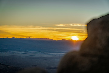 Joshua Tree