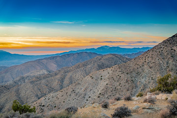 Joshua Tree