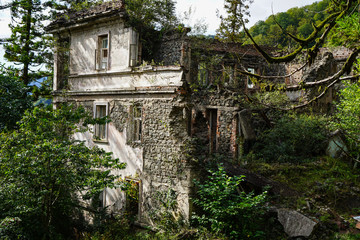 Nature captures the ruined house. House abandoned by people. Tkvarcheli.