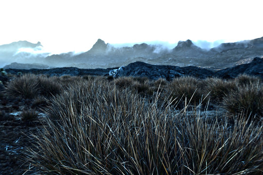 Paramo