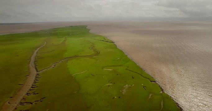 Aerial over lush grass plane on Marajo Island flying towards Amazon River over tributary carved out in the mud landscape