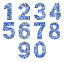Set of arabic numbers, natural blue flowers of forget-me-not, isolated on white background