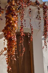 Obraz premium Brown leaves over house