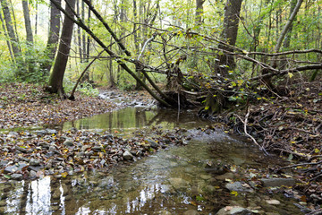 Stream in a mountain gorge in the autumn forest.