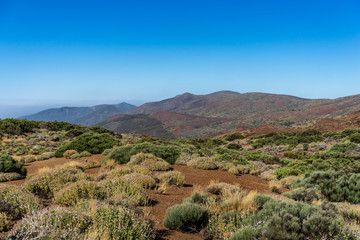 Desert landscape in the vicinity of the Teide volcano. Viewpoint: Mirador Caramujo. Tenerife. Canary Islands. Spain.