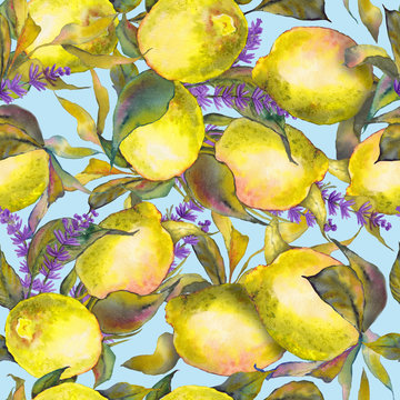 Seamless pattern with lemon fruits, leaves and lavender flowers. Watercolor on blue background.