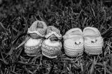 baby´s shoes on the grass