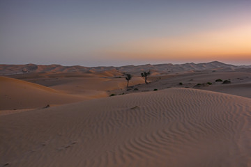 Sonnenaufgang in der WÃ¼ste; Abu Dhabi;VEA