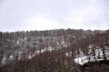 view of the mountain stopes with snowy trees and clear sky