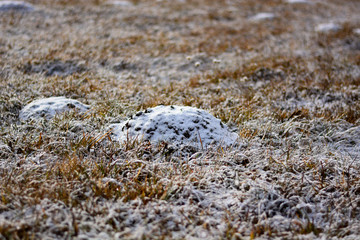 the ground still frozen, the last days of winter