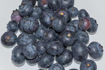 Blaubeeren isoliert auf weiss