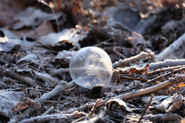 gefrorene Seifenblase im Winter