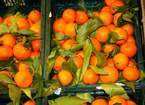baskets and shelves of tangerines inside a store. display of many small sweet, ripe, orange citrus fruits, ready to be eaten and eaten for snack. healthy, organic, natural and healthy food.