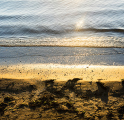 Small sandy beach with seaweed