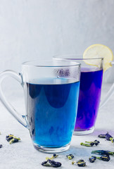 Cup of Butterfly pea tea for healthy drinking