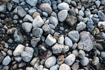 pebbles on the beach