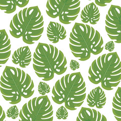 ecology leafs plants pattern