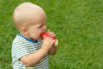 Portrait of toddler child outdoors with watermelon. Rural scene with two year old baby boy eating watermelon slice in the garden.