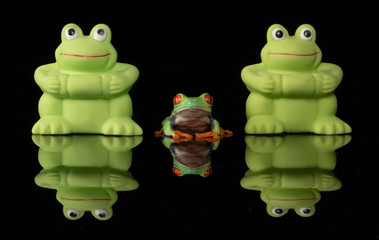 Frog is the odd one out of the 3