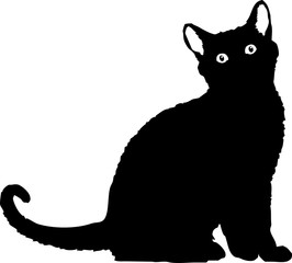 file of a black cat silhouette