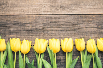 Yellow blooming tulips arranged in a row next to each other on background from old vintage boards. Beautiful flowers for every occasion with a free place. Frame with plants and old boards, copy space.