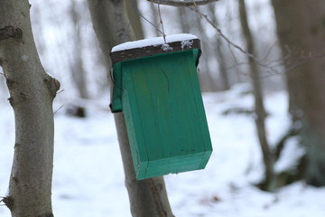 Ein kleiner Planungsfehler