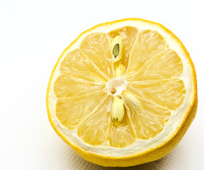 Withered and half cul lemon on white background